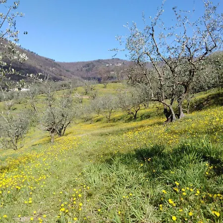 Terrarossa Pistoia