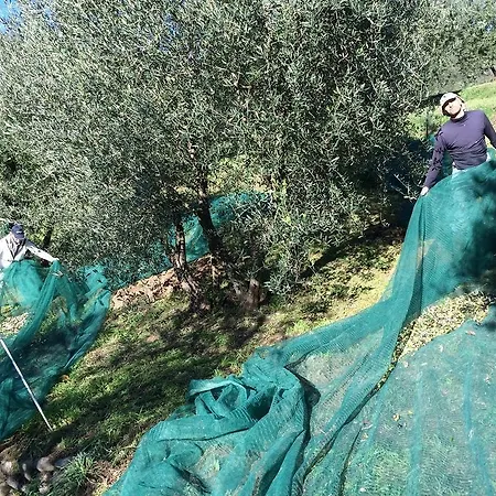 Terrarossa Alojamento de Turismo Rural