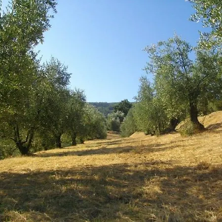 Terrarossa