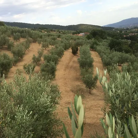Terrarossa Alojamento de Turismo Rural Pistoia