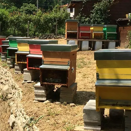 Alojamento de Turismo Rural Terrarossa