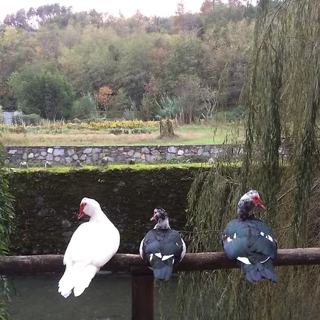 Terrarossa Pistoia