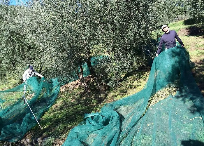 Terrarossa Agroturismo