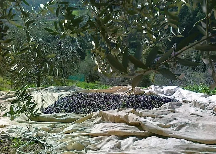 Terrarossa Agroturismo