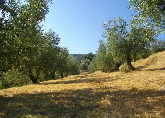 Terrarossa