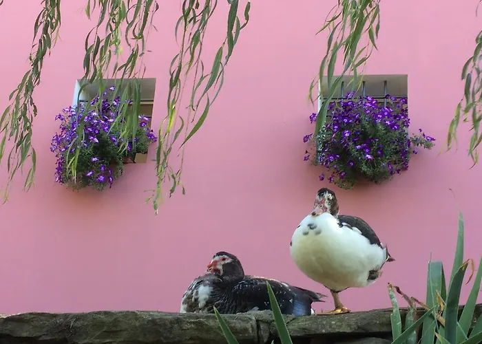 Agroturismo Terrarossa