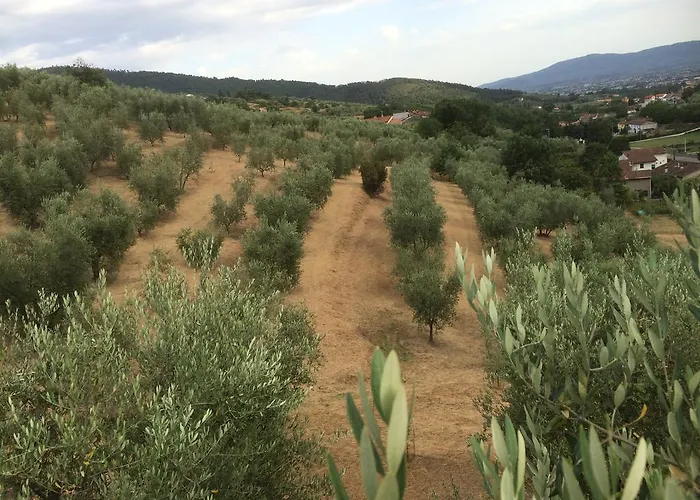 Terrarossa Agroturismo Pistoya