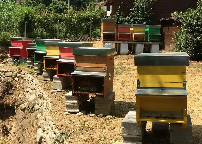 Agroturismo Terrarossa