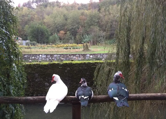 Terrarossa Pistoya